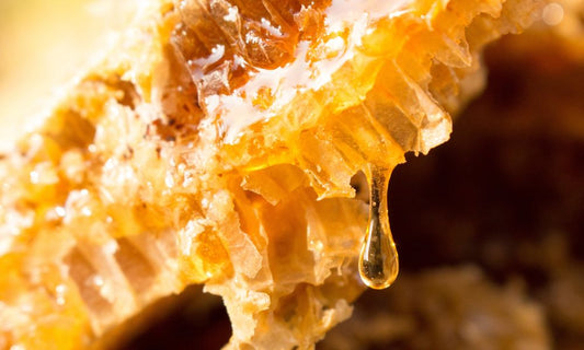 The Differences Between Raw Honey and Pure Honey