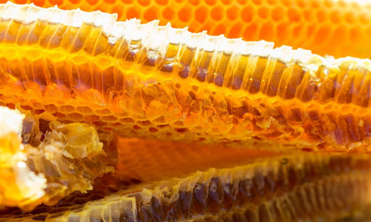 9 Health Benefits of Adding Raw Honey to Your Diet