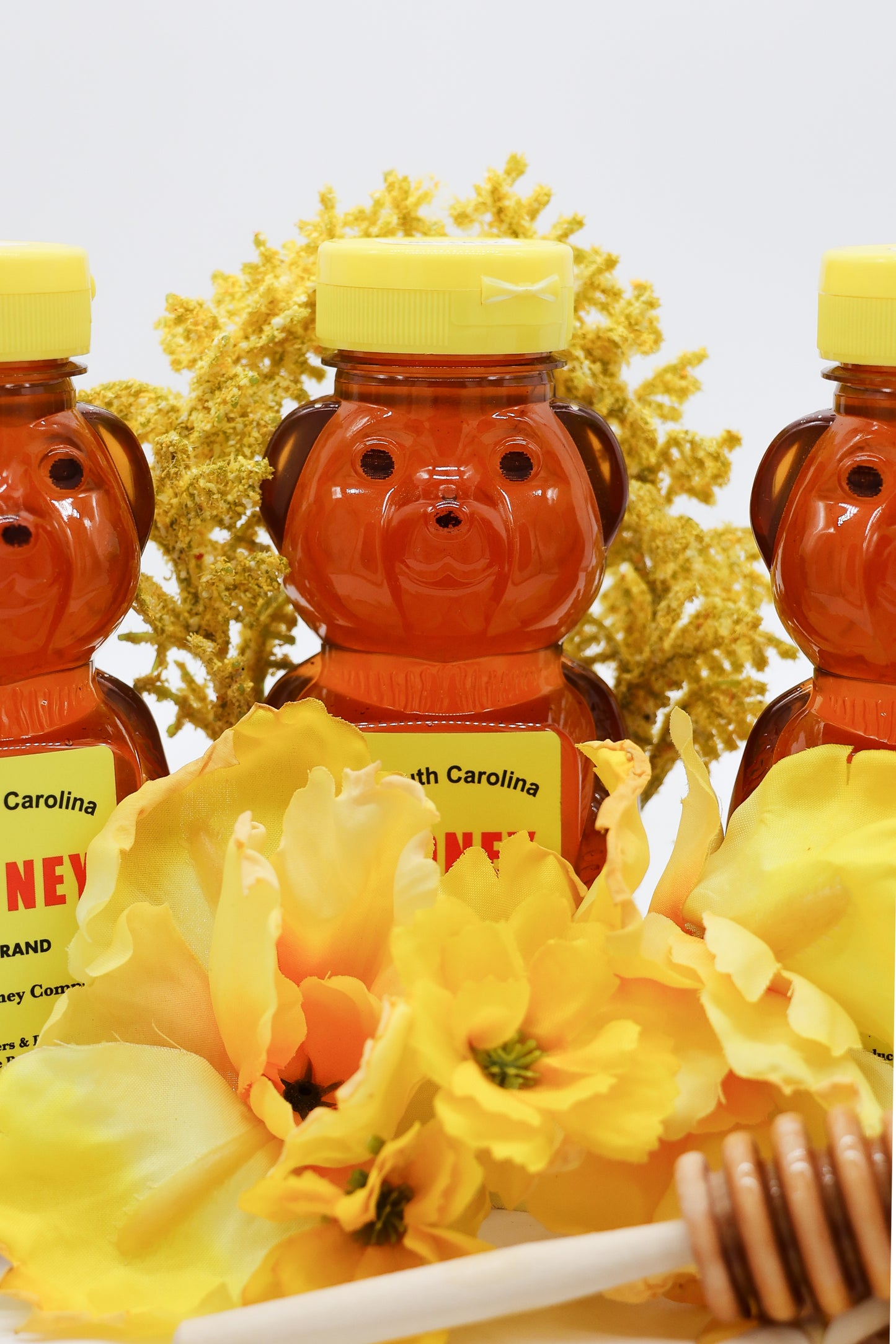 Case (12) -12oz Wildflower Honey Bear