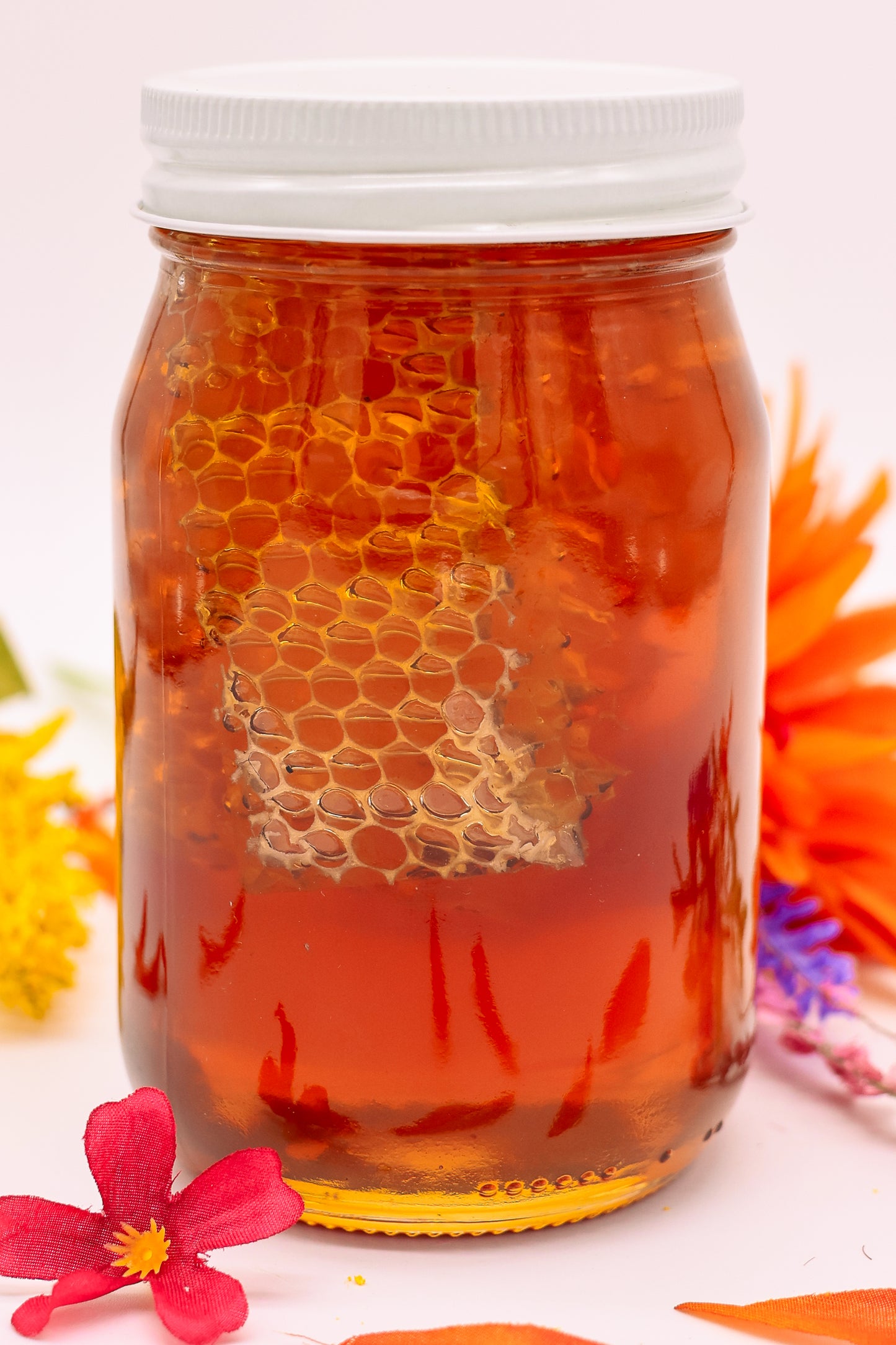 Case (12) - Pure wildflower Honey 22oz Pint Jar with Comb