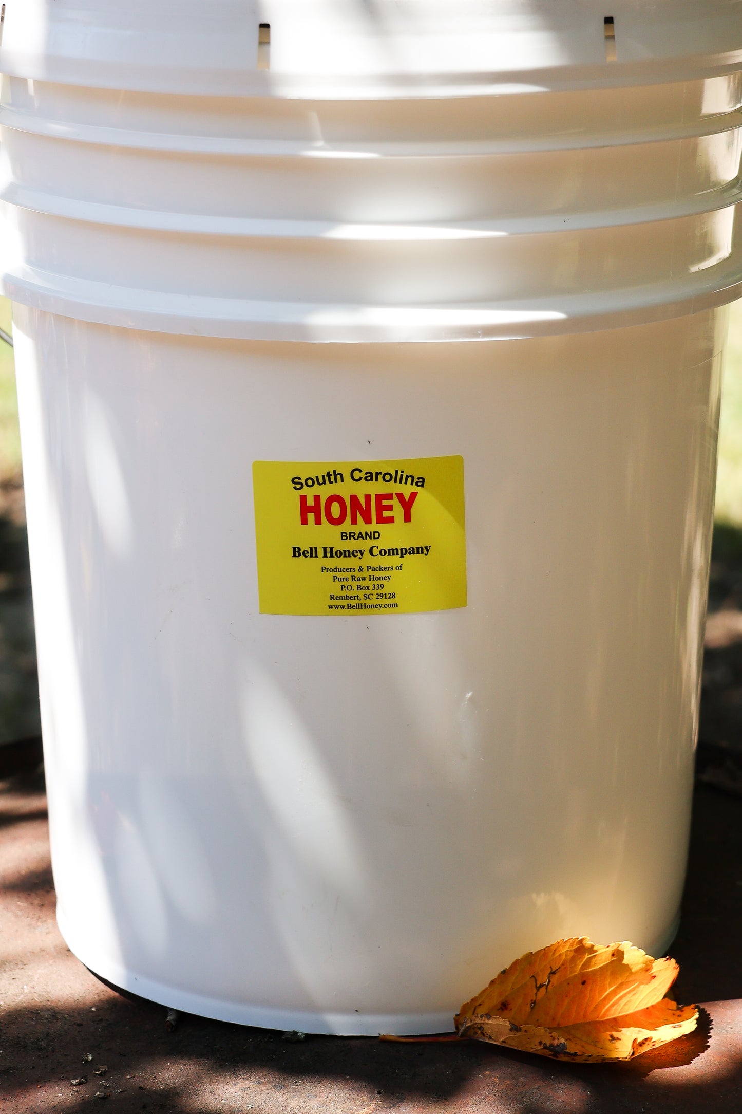 Bulk Honey - 5 Gallon Pails Wildflower Honey
