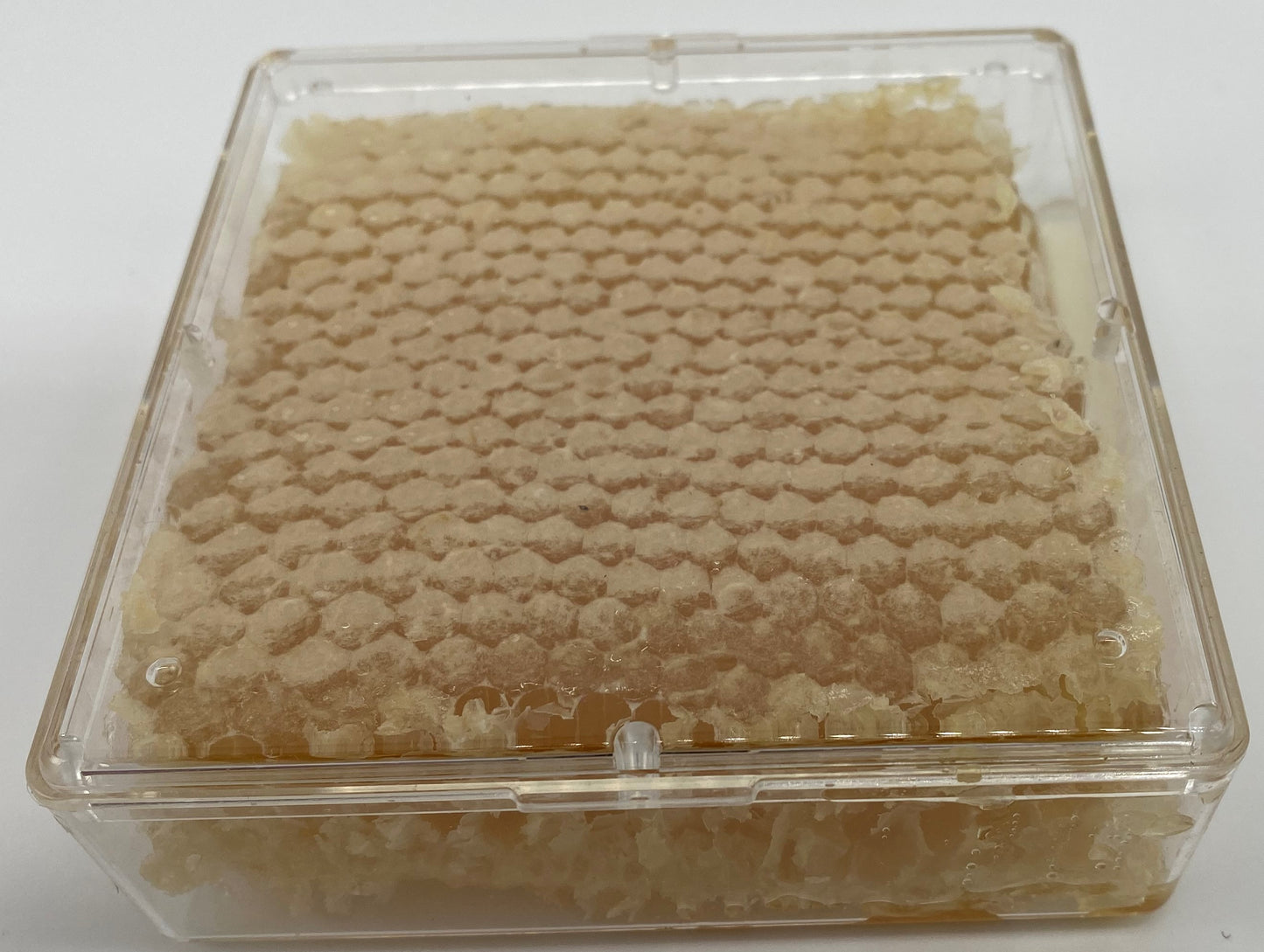 Honeycomb 4inx4in