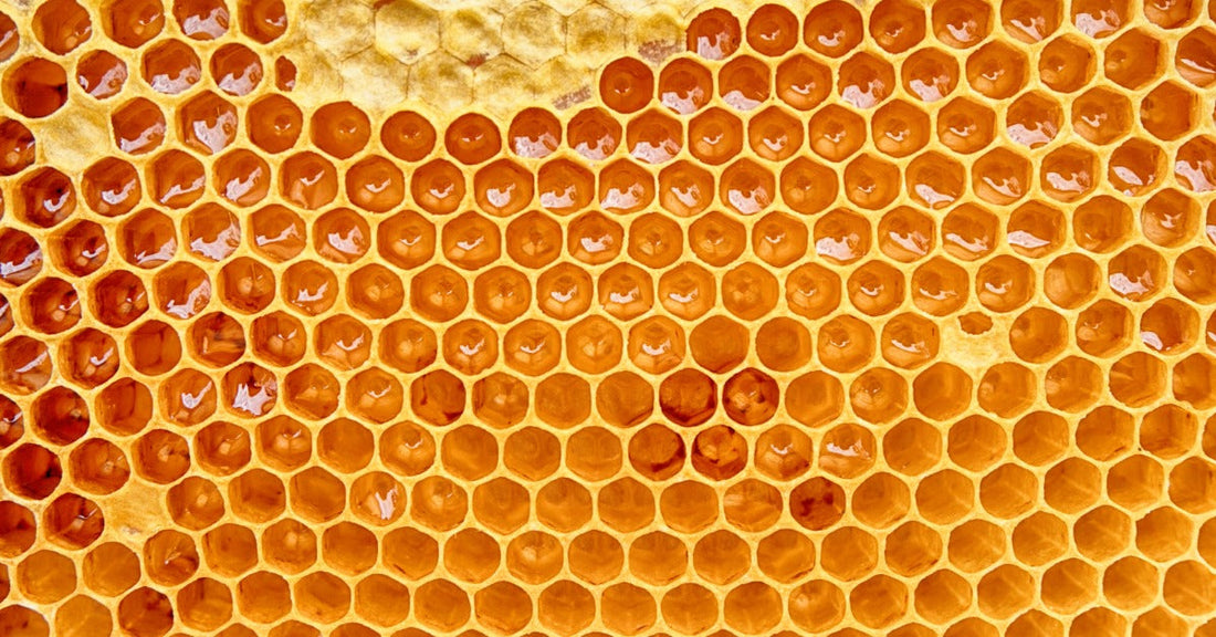 Detailed honeycomb pattern with hexagonal cells packed with amber honey, some capped and others glossy with liquid.