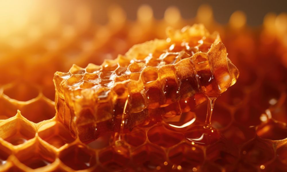 Interesting Things You Should Know About Honeycomb