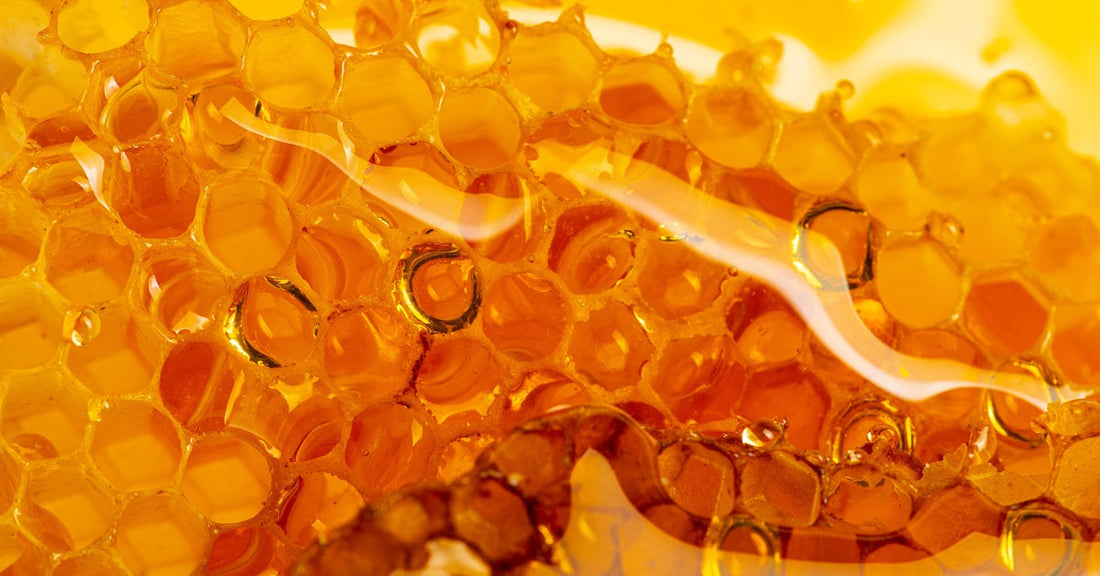 Close-up of golden honeycomb filled with glossy honey, showing hexagonal cells and amber texture in detail.