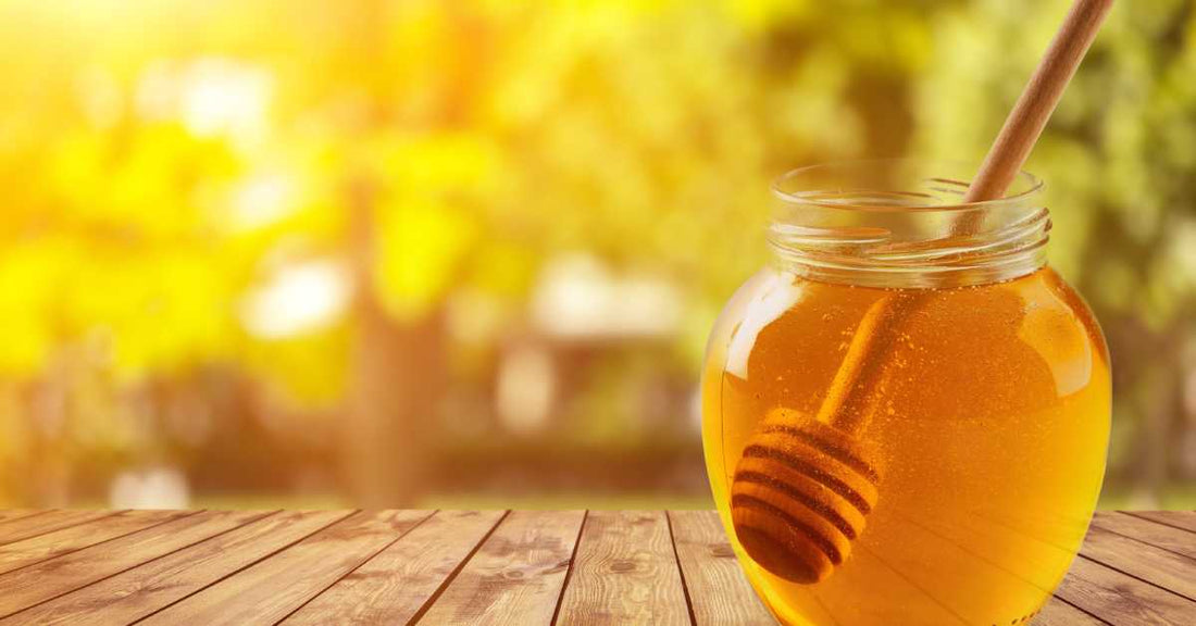 A jar of golden honey with a wooden honey dripper inside on a wooden table with sunlight streaming behind it.