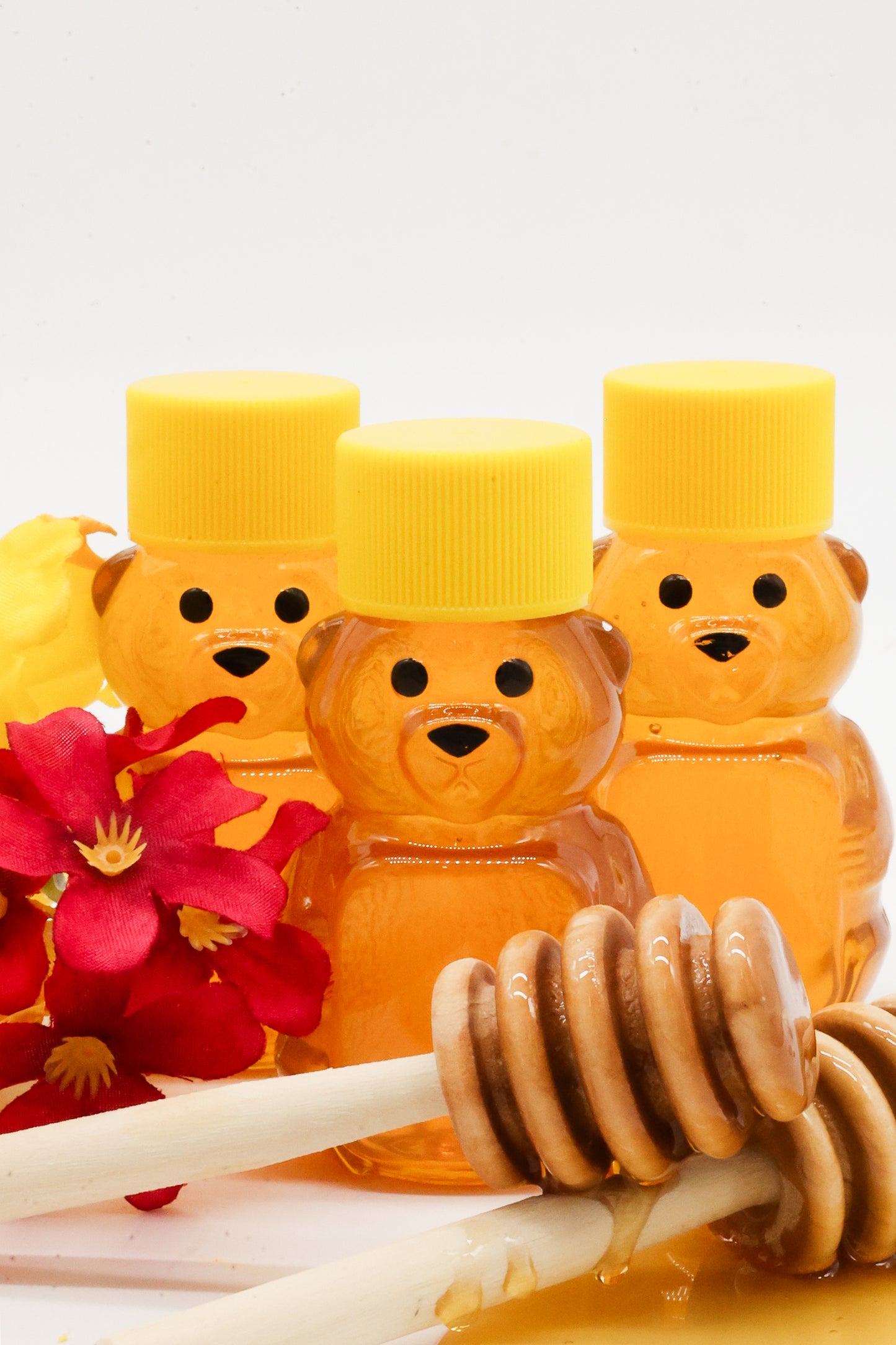 Mini Honey Bears