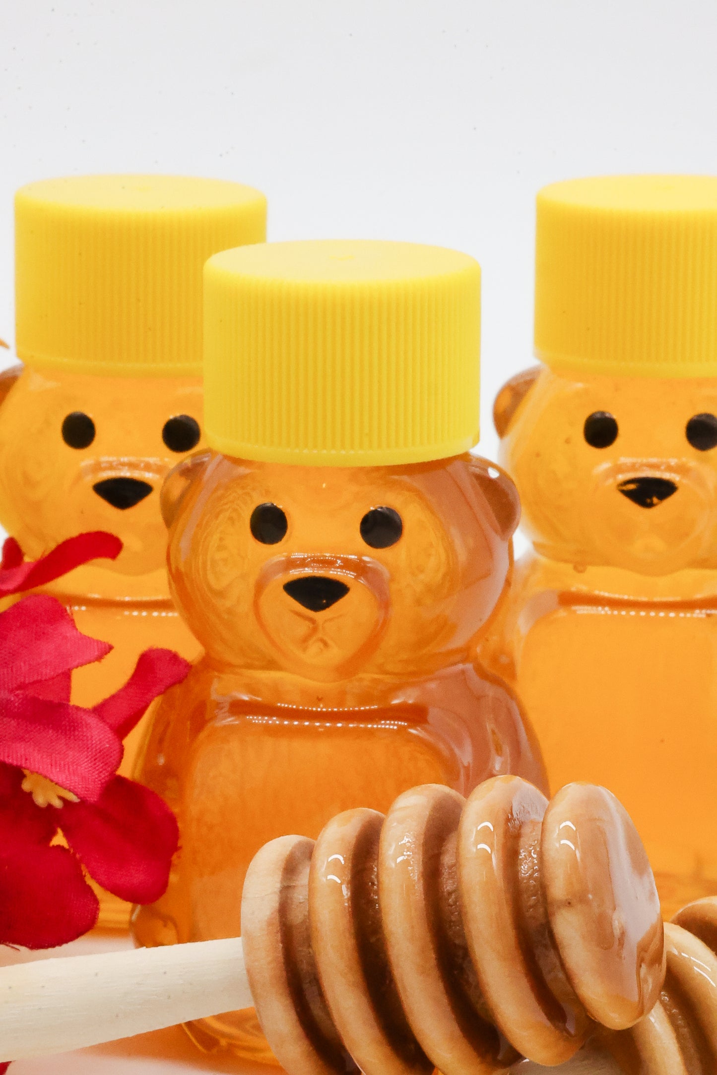 Mini Honey Bears