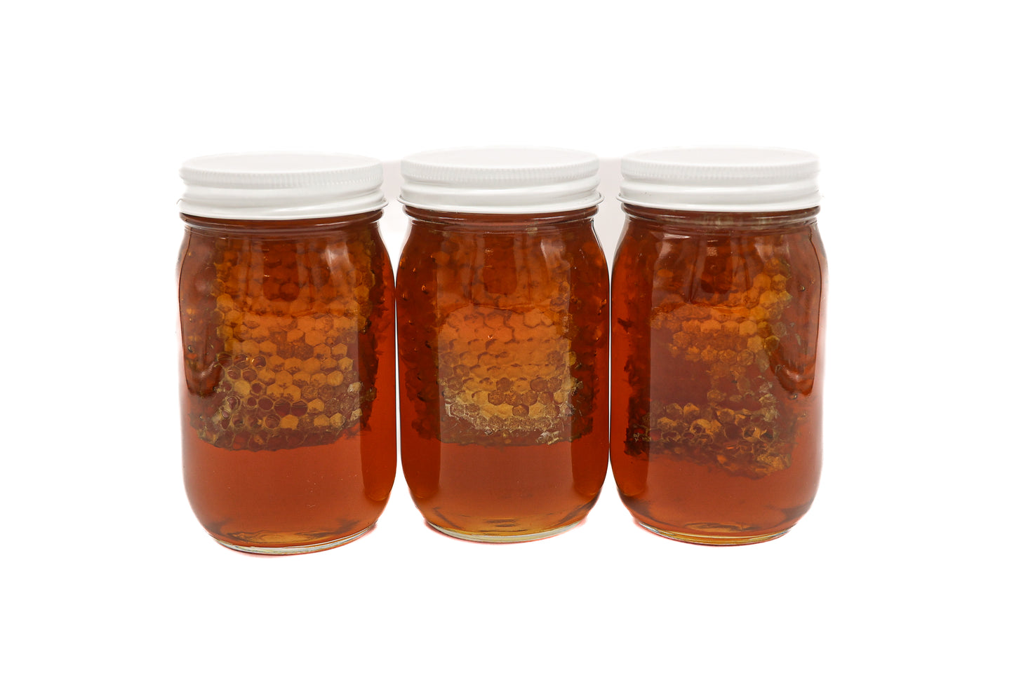 Case of Pure wildflower Honey 22oz pint jar with Comb