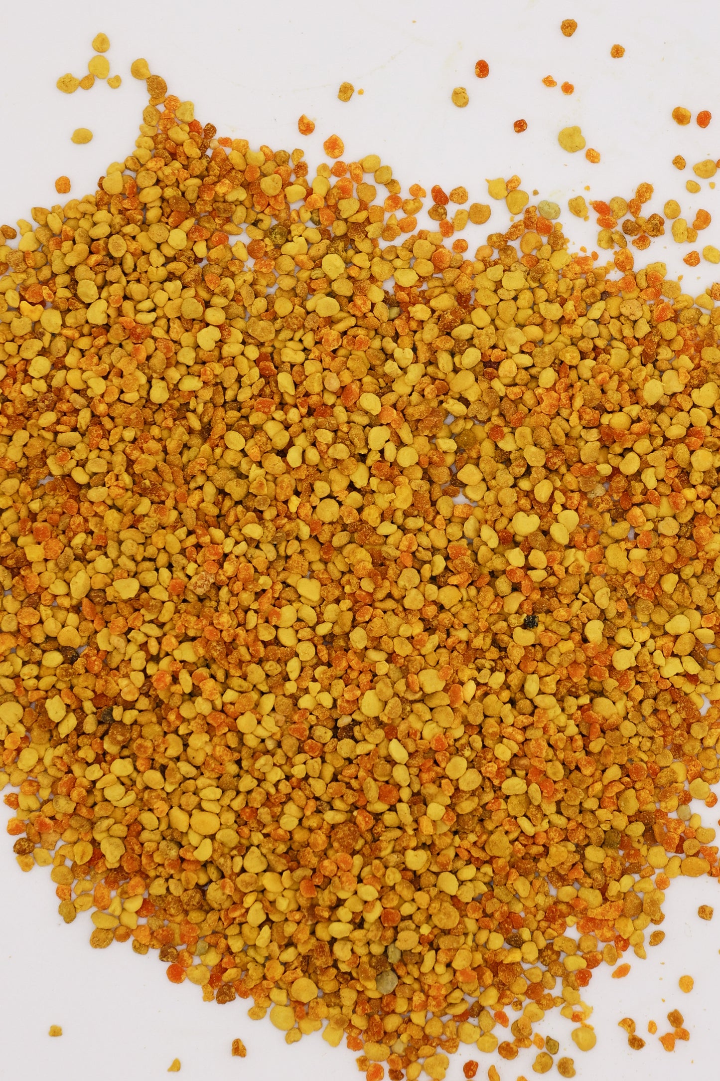 1lb 100 Percent Pure Fresh Honeybee Pollen in Bulk