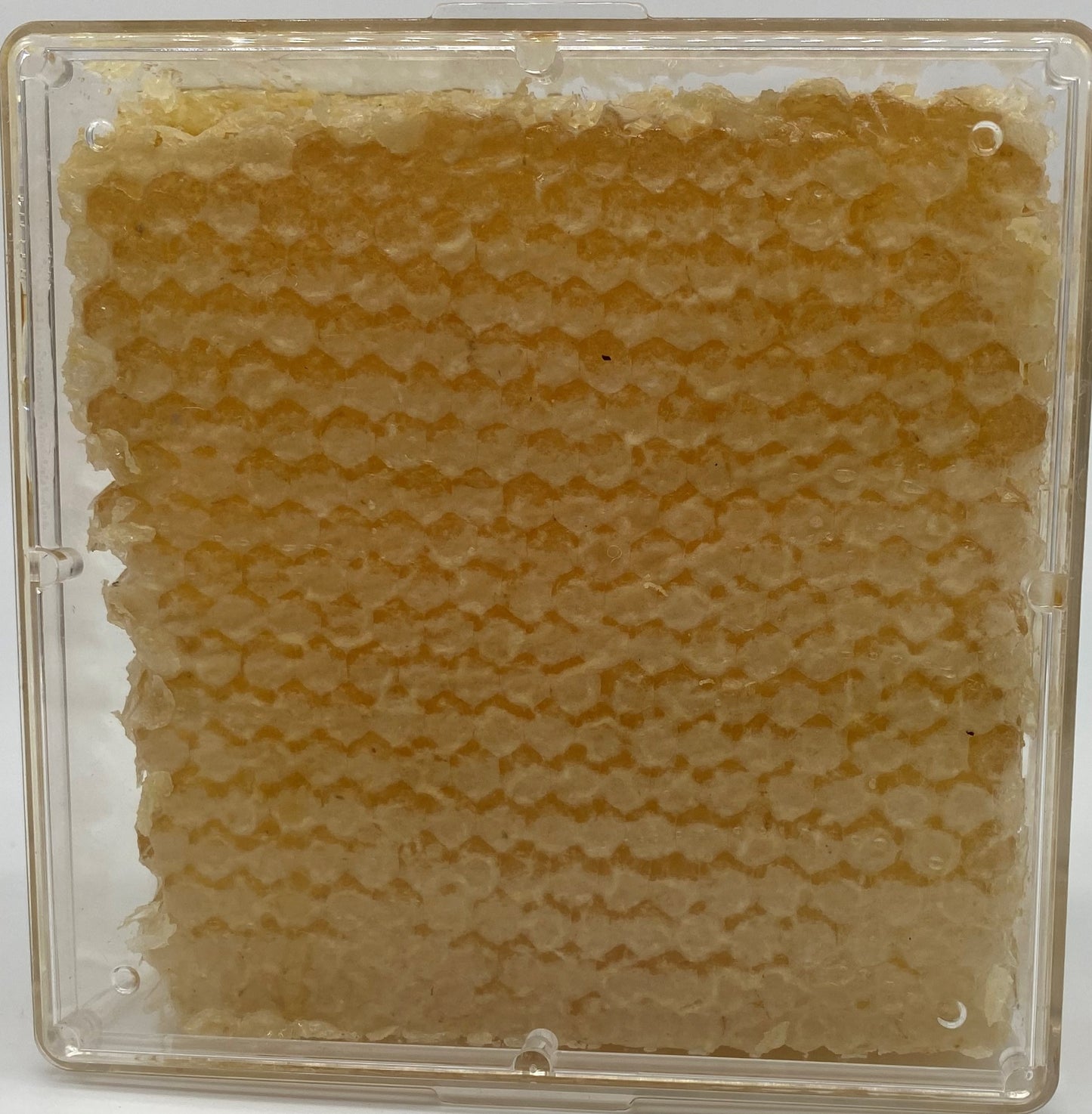 Honeycomb 4inx4in